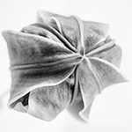 Imagomundo.de      –      FOTOGRAFIE        Ulrike Altekruse